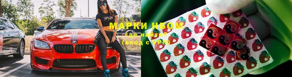 дживик Инсар
