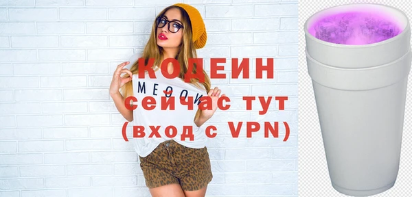 apvp Инта