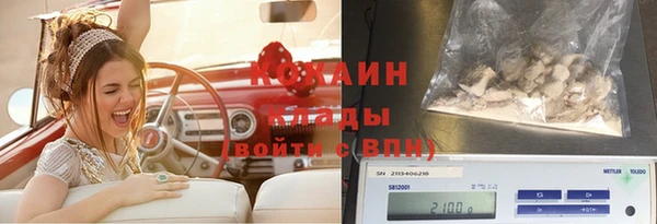 дживик Инсар