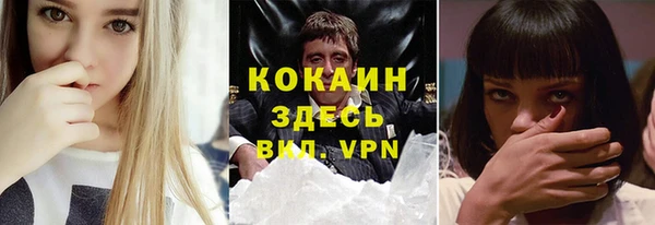 apvp Инта
