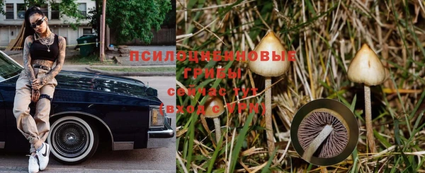 дживик Инсар