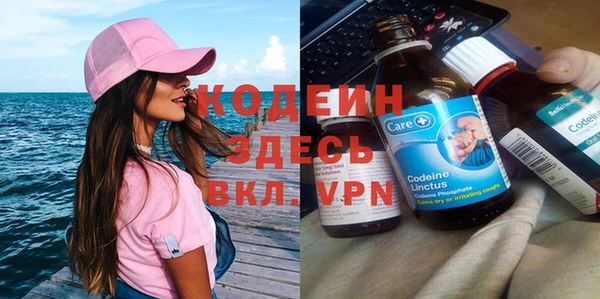 apvp Инта