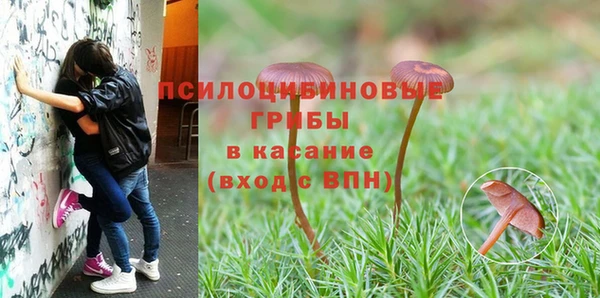 дживик Инсар