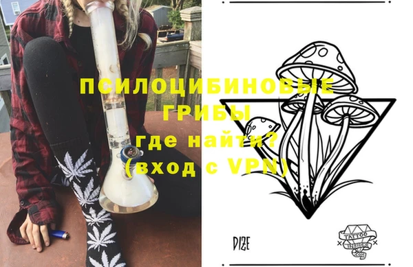 apvp Инта