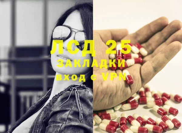 apvp Инта