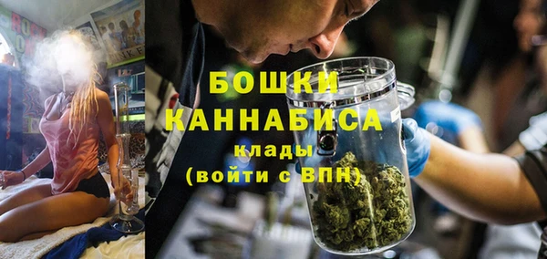 apvp Инта