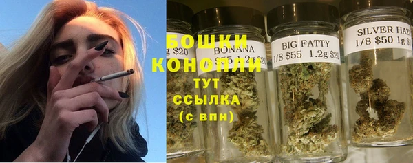 дживик Инсар