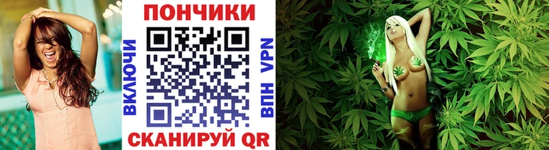 Шишки марихуана сатива  Купить где  Переславль-Залесский 